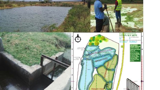 Effluent discharge control planning and water assessment